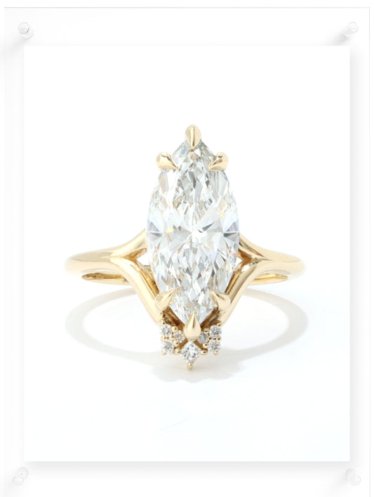 Solrae Diamond & Moissanite Ring