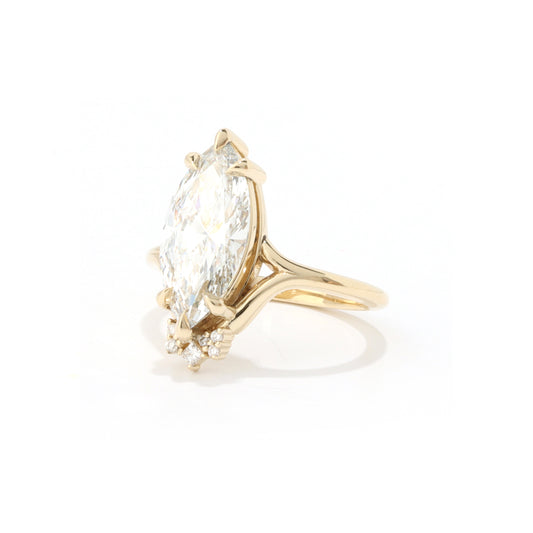 Solrae Diamond & Moissanite Ring